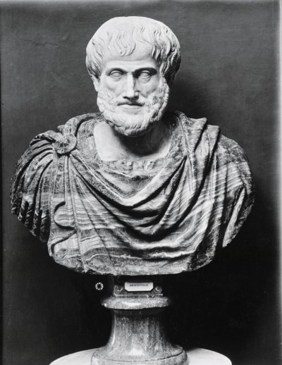 Bust of Aristotle by Unbekannt Unbekannt